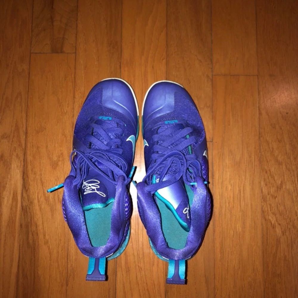 Nike Lebron Hornets